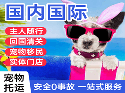 福州长乐机场快运国际宠物托运 【国